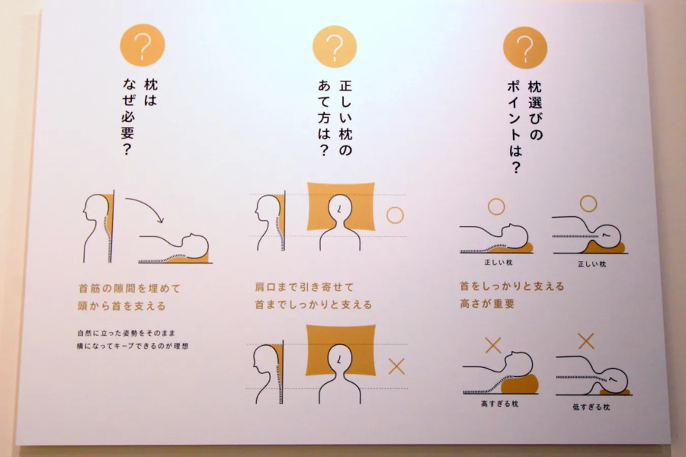 夕方まで寝てしまった夜でも眠れる！専門家直伝の睡眠リセット術5選