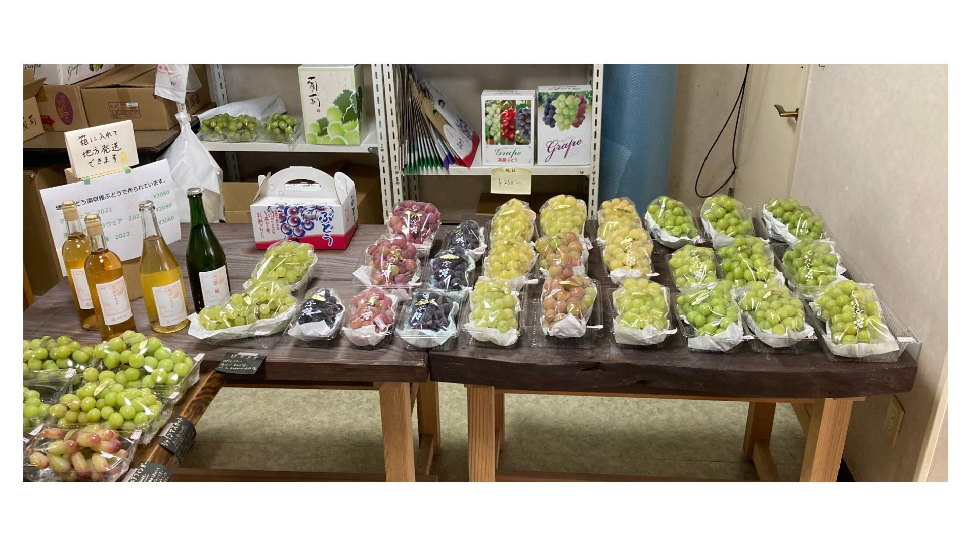 ぶどう直売所が早朝から大行列になる理由！2026最新の買い方と名店