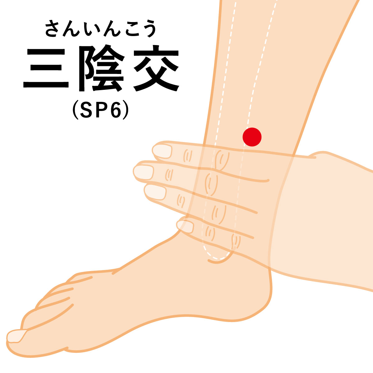 予定日遅れに効く？生理が来るツボの真相と今すぐできる対処法