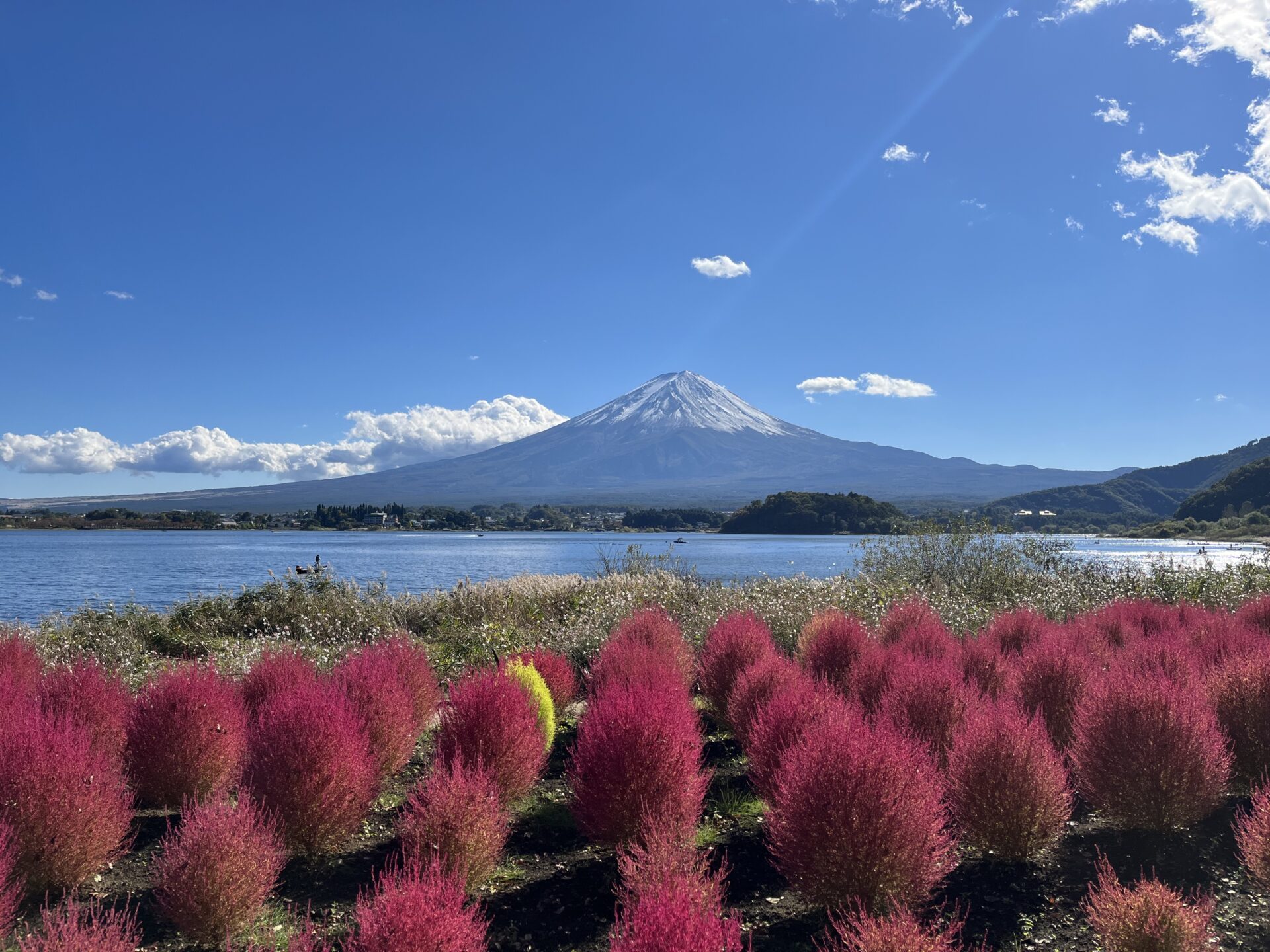 富士山と花々が織りなす絶景の聖地「大石公園」2026年最新取材：混雑を回避して極上の瞬間に出会う旅