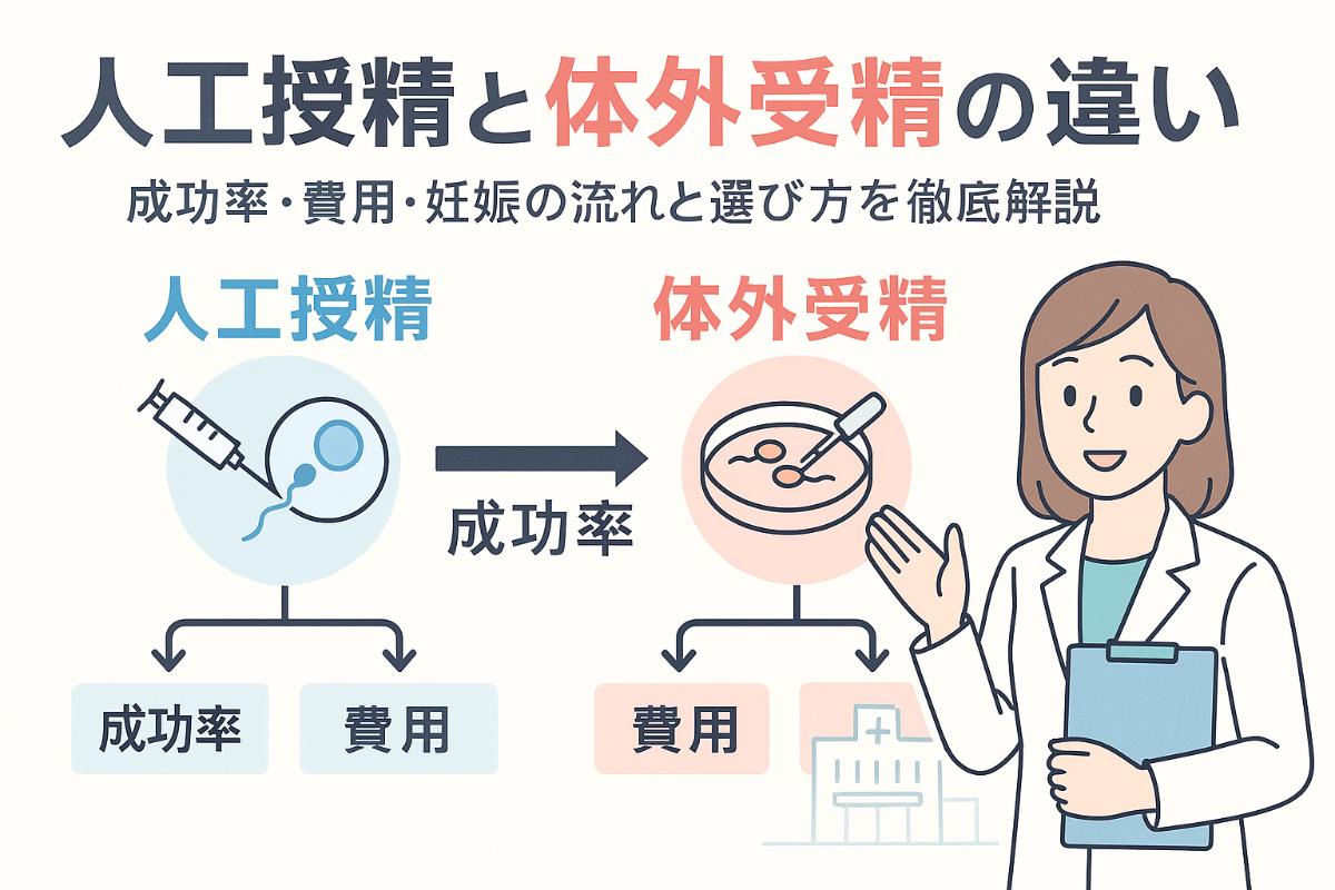 人工授精と体外受精の違いとは？費用・妊娠率・負担の比較【2026年最新】