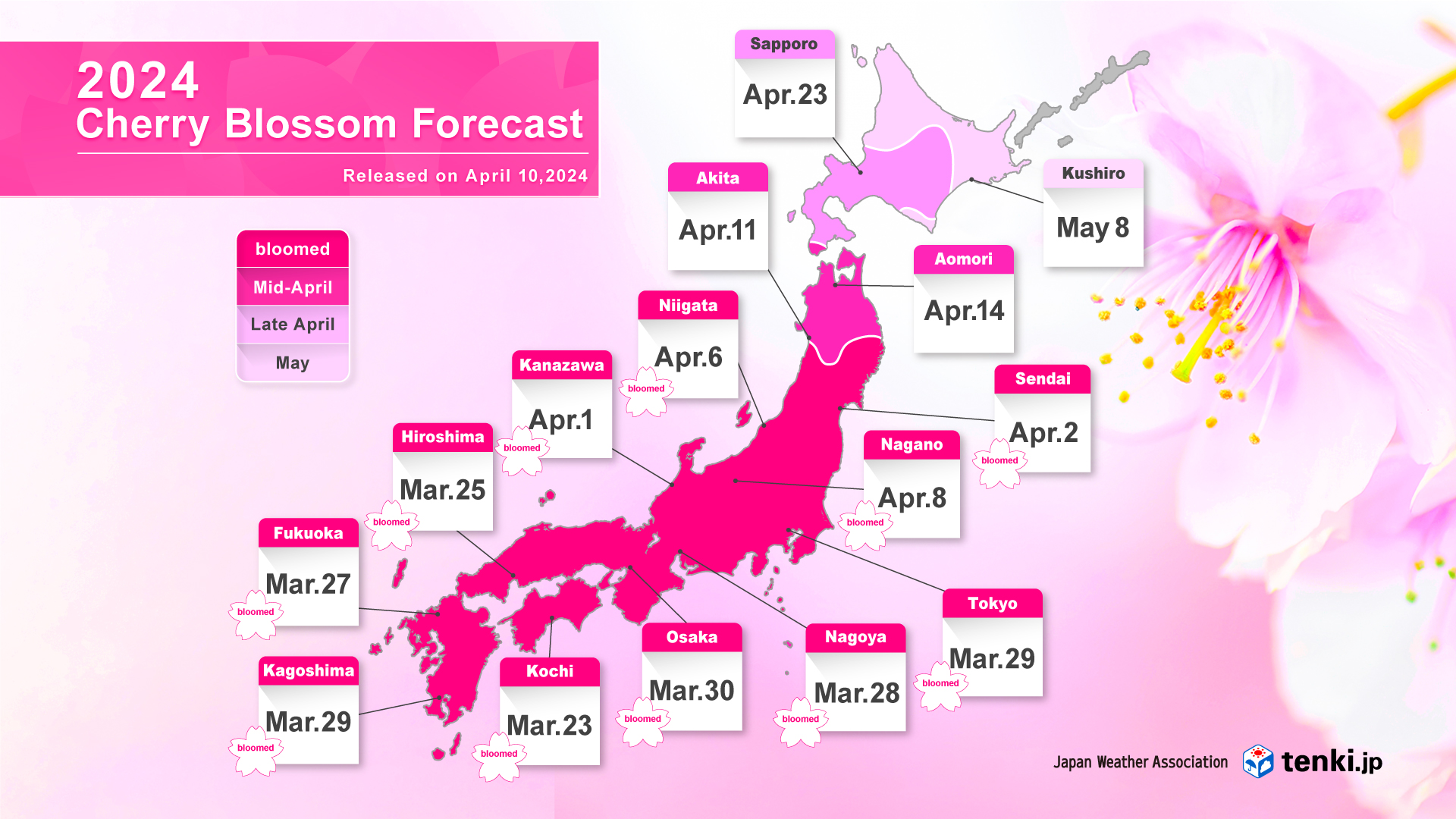 2026年桜開花予想を徹底検証！東京・京都の満開日と見頃の記録