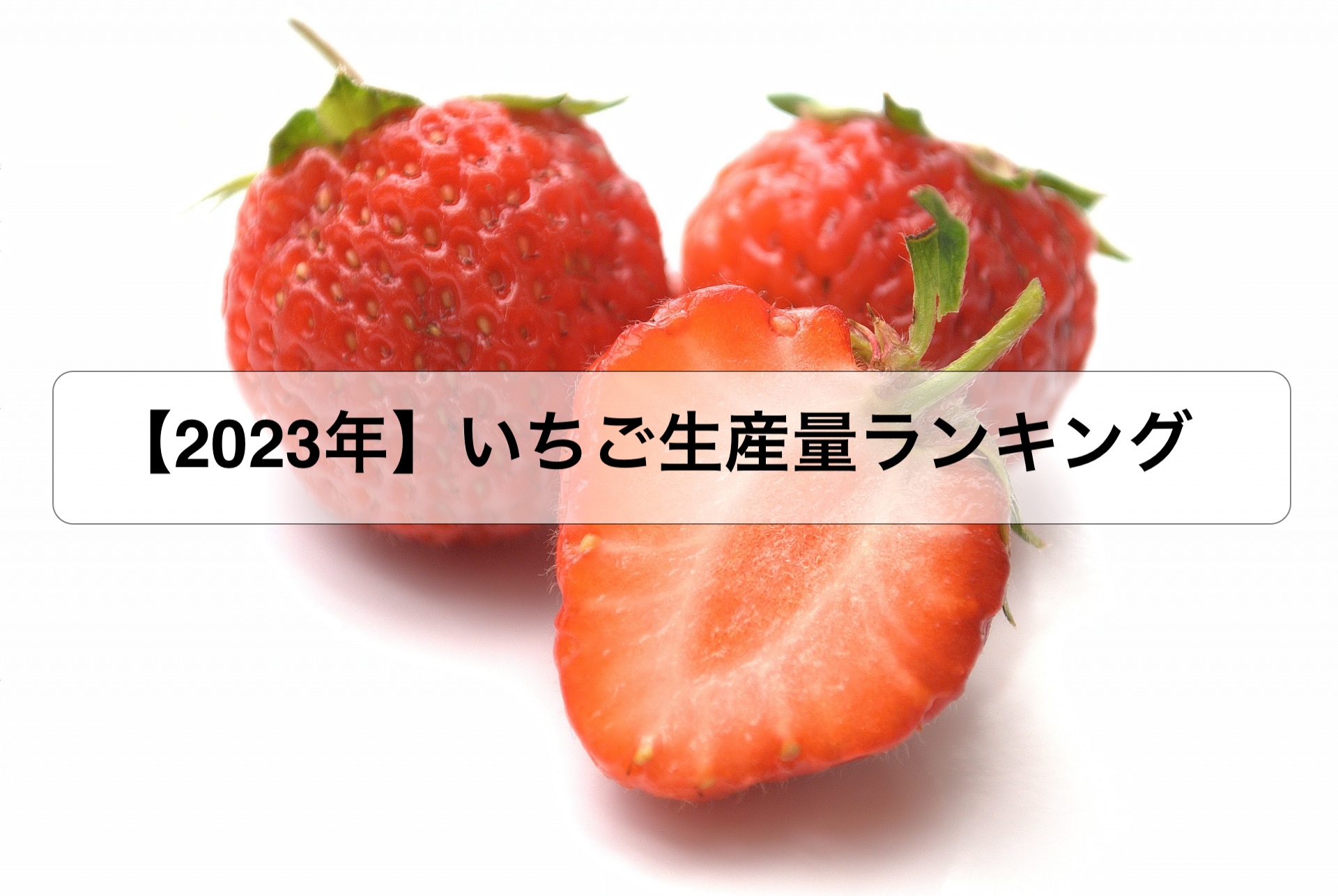 最新いちご生産量ランキング！栃木と福岡の攻防と品種交代の真相