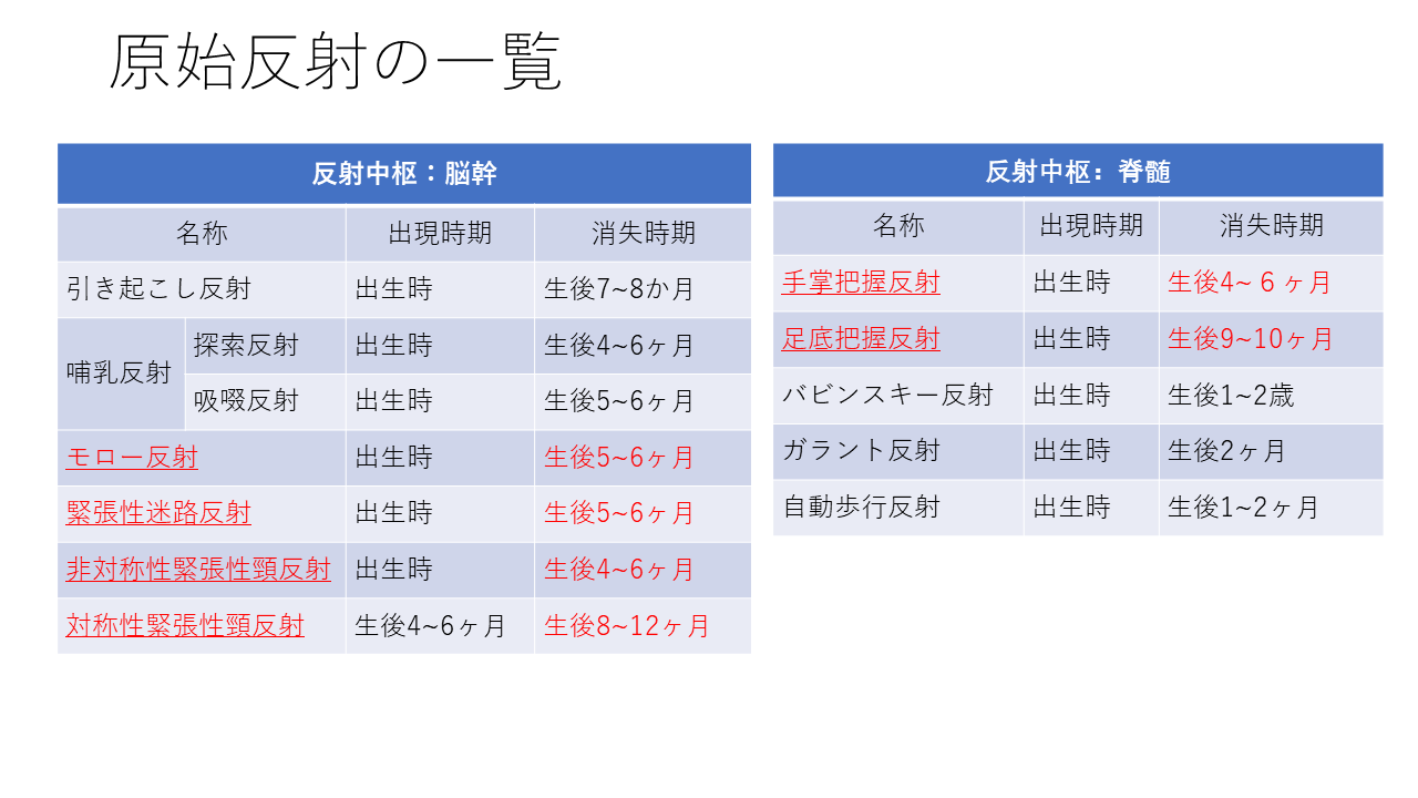 後発医薬品調剤体制加算の廃止真相｜2026年改定と薬局生き残り策