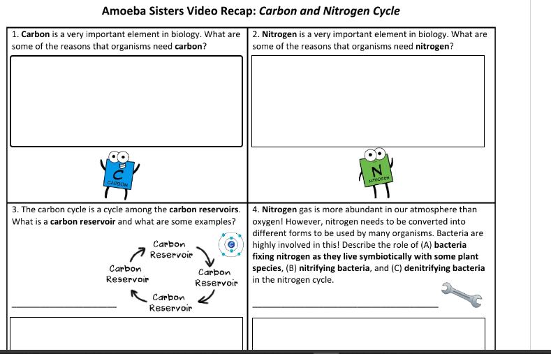 Amoeba Sisters Carbon and Nitrogen Cycle Worksheet Answer Key