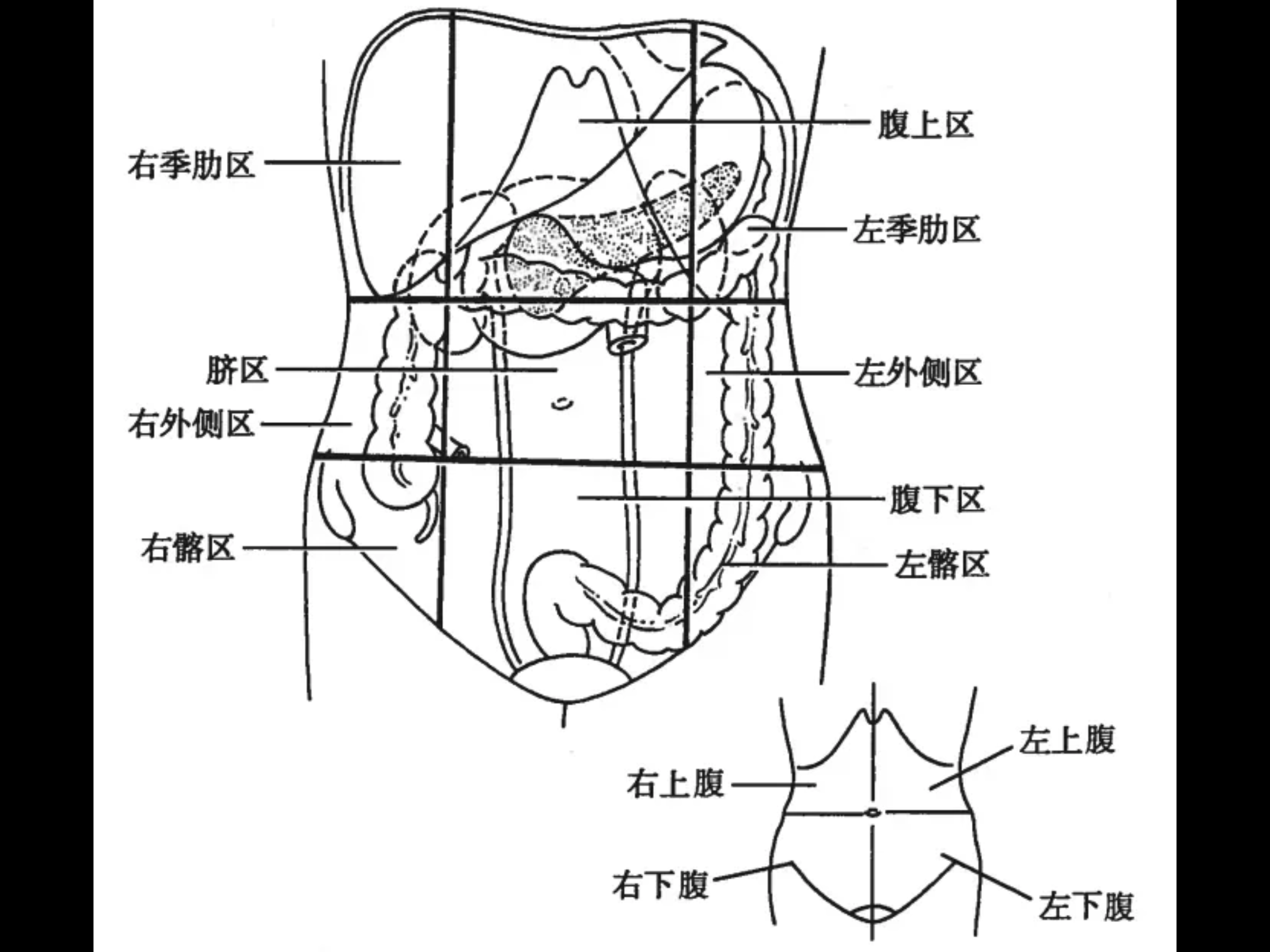 【Wiki風】 腹 上 死 と は 歴代彼氏・彼女まとめ #794