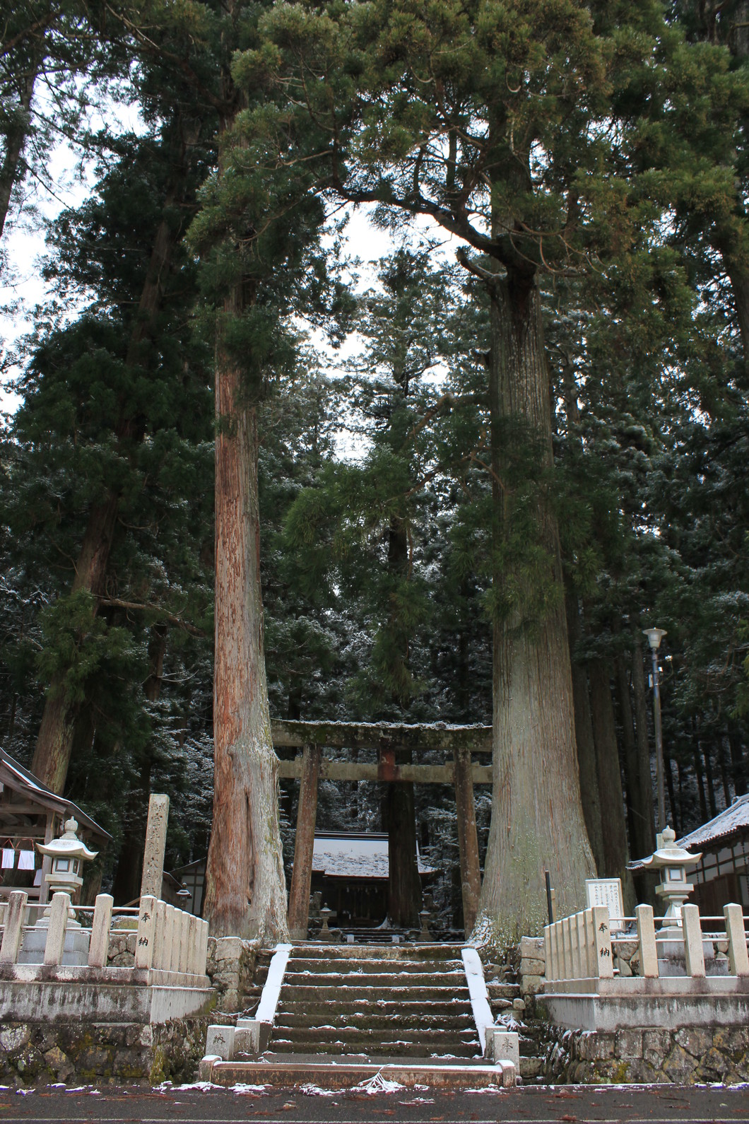 室生龍穴神社が恐ろしいと噂される理由とは？吉祥龍穴の参拝作法と真相