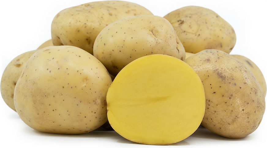 What Is a Yukon Potato