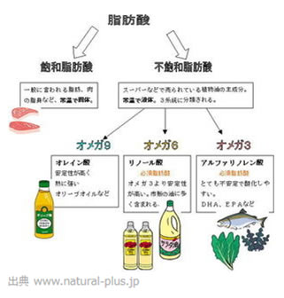 【徹底調査】 体 に いい 油 ランキング 最新画像・動画まとめ #746