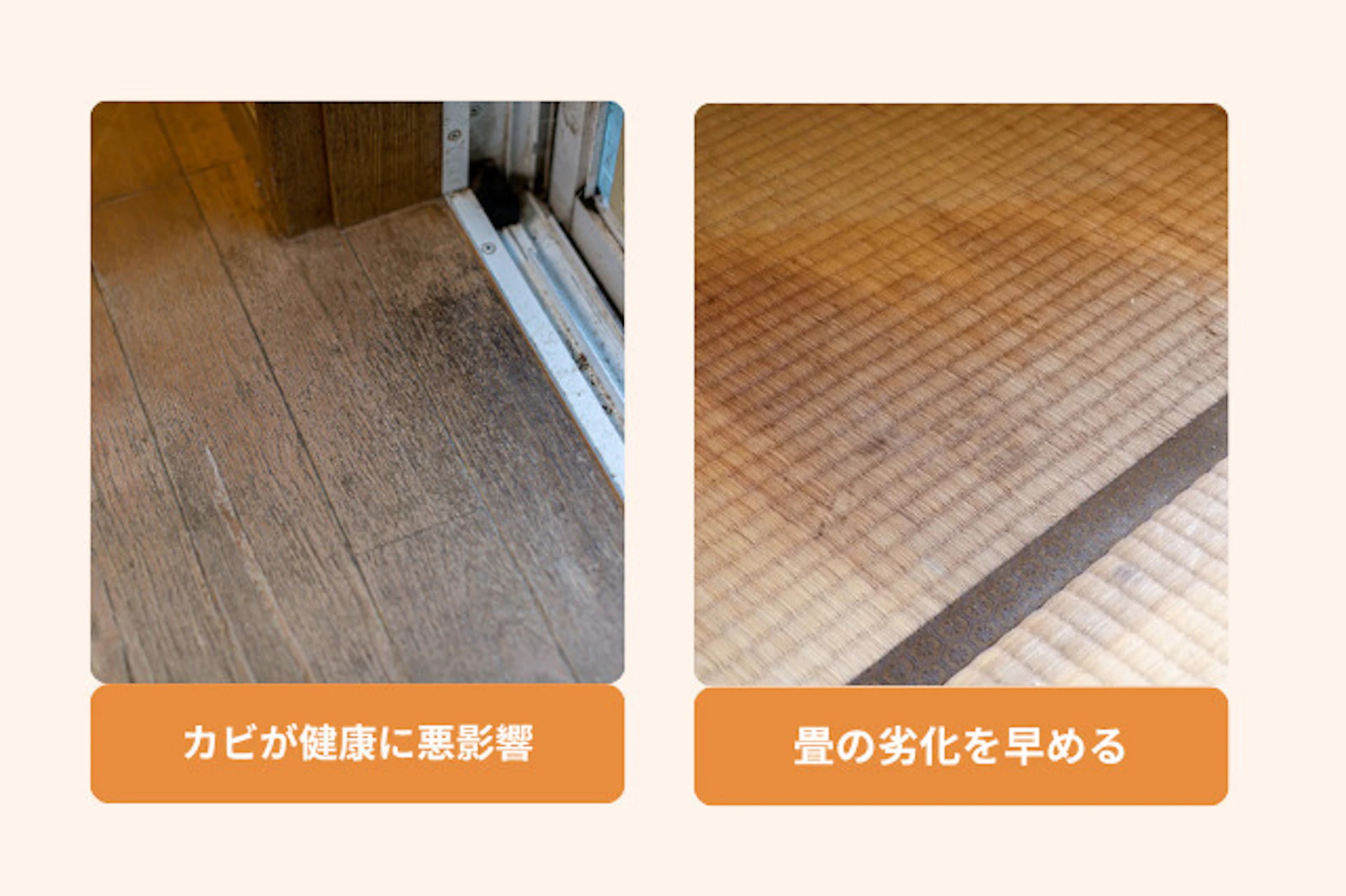 畳に敷くだけフローリングでカビだらけ？後悔続出の真相と防カビ完全手順