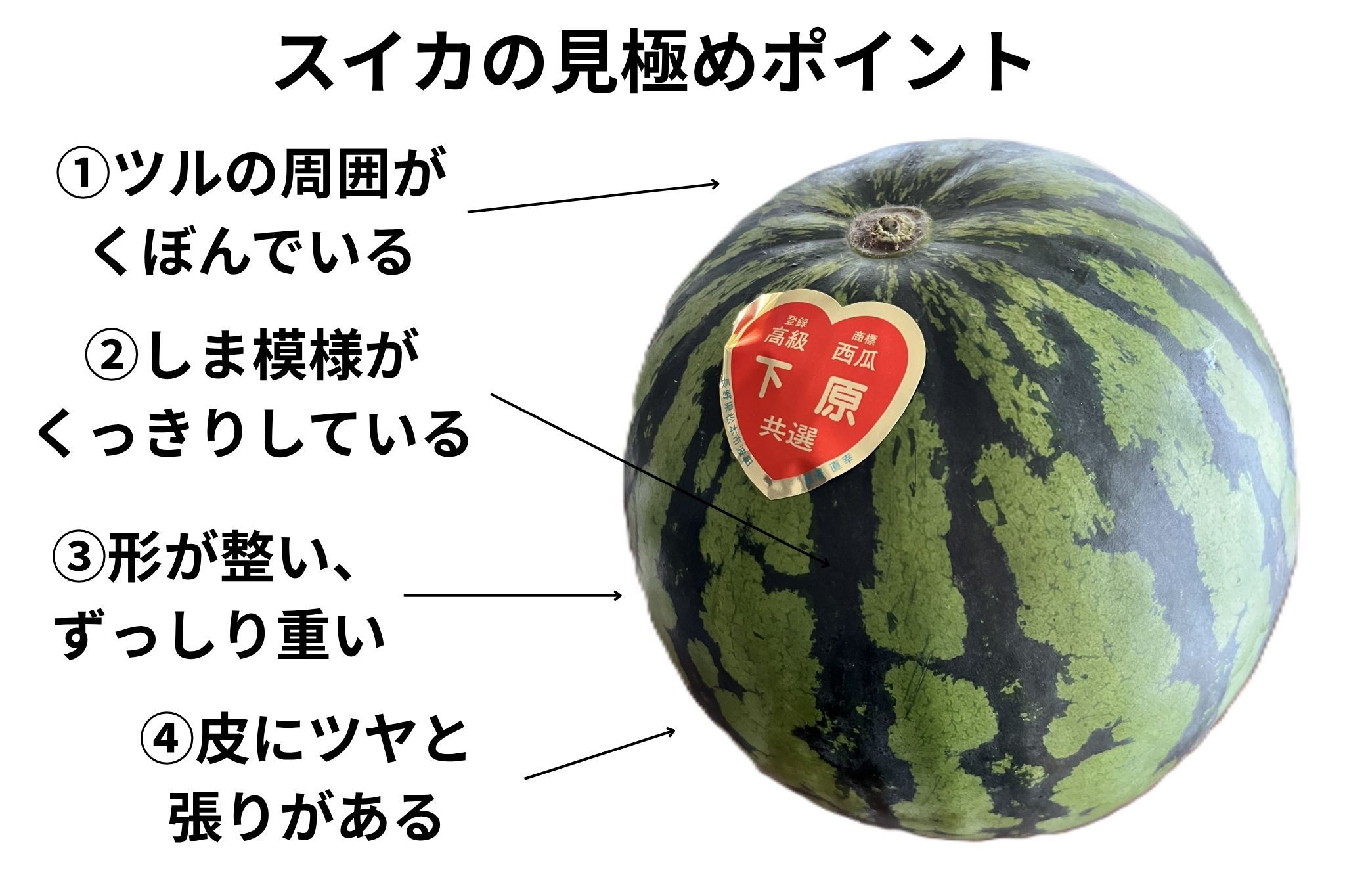 プロが教える美味しいスイカの見分け方｜甘い完熟品を見抜く決定打