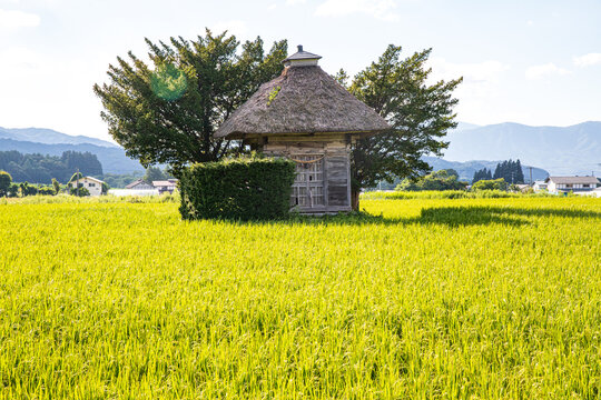 遠野なぎこインスタ投稿の衝撃近況とは？炎上発言の真意と今の姿
