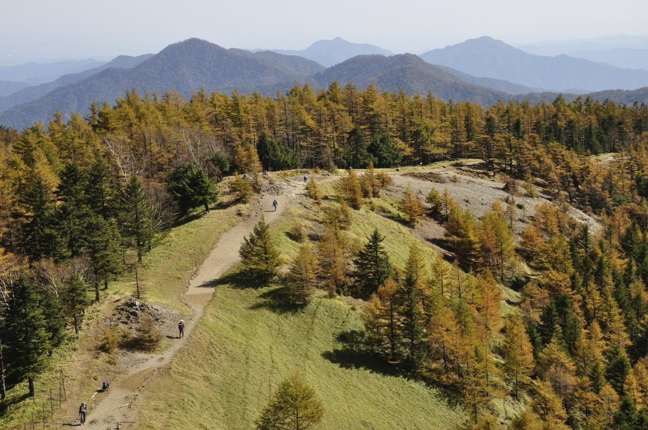 雲取山は初心者の日帰りが可能か？2026年最新難易度と注意点総点検