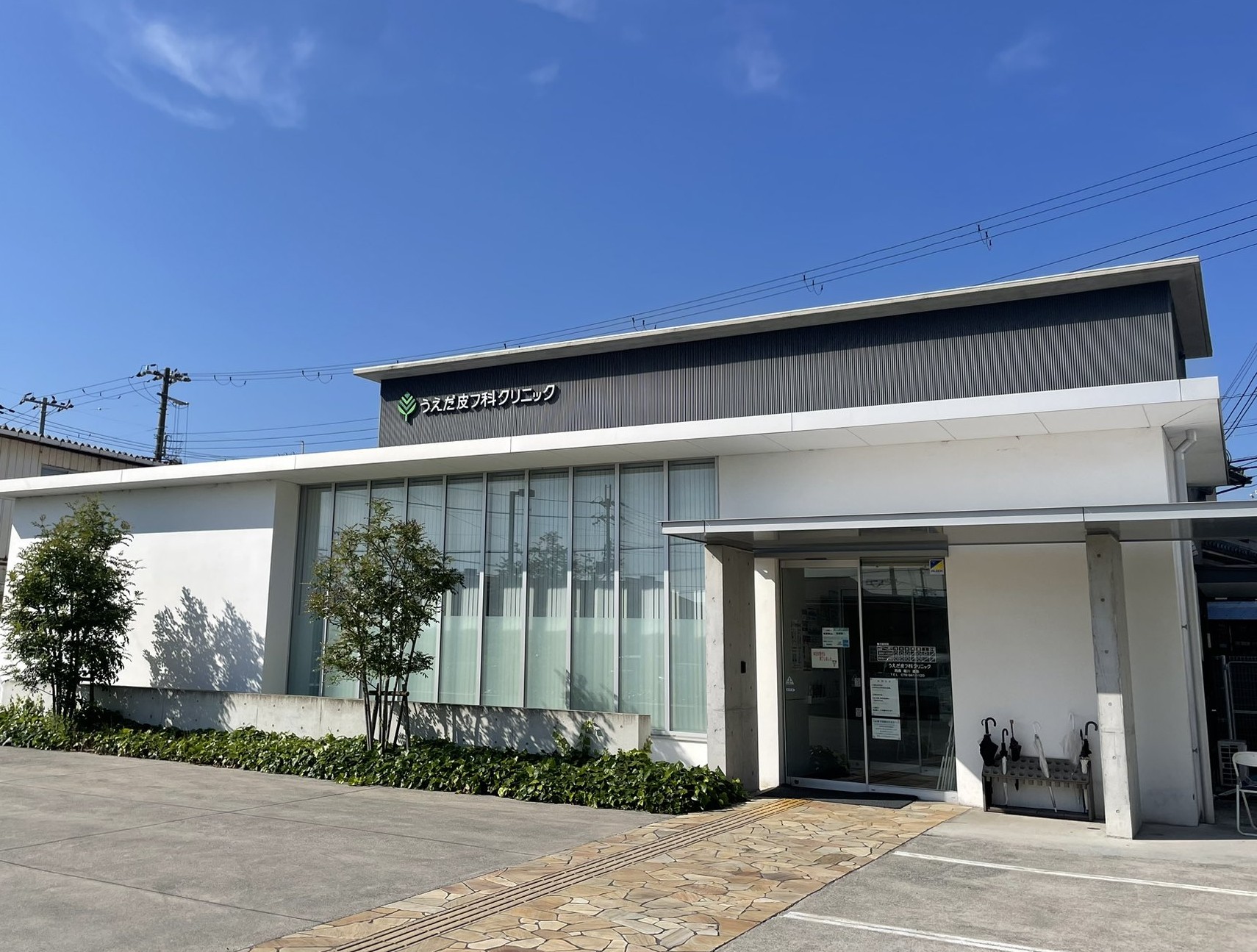 【2026最新】上田の皮膚科で評判の名医はどこ？待ち時間の真相と口コミを徹底比較