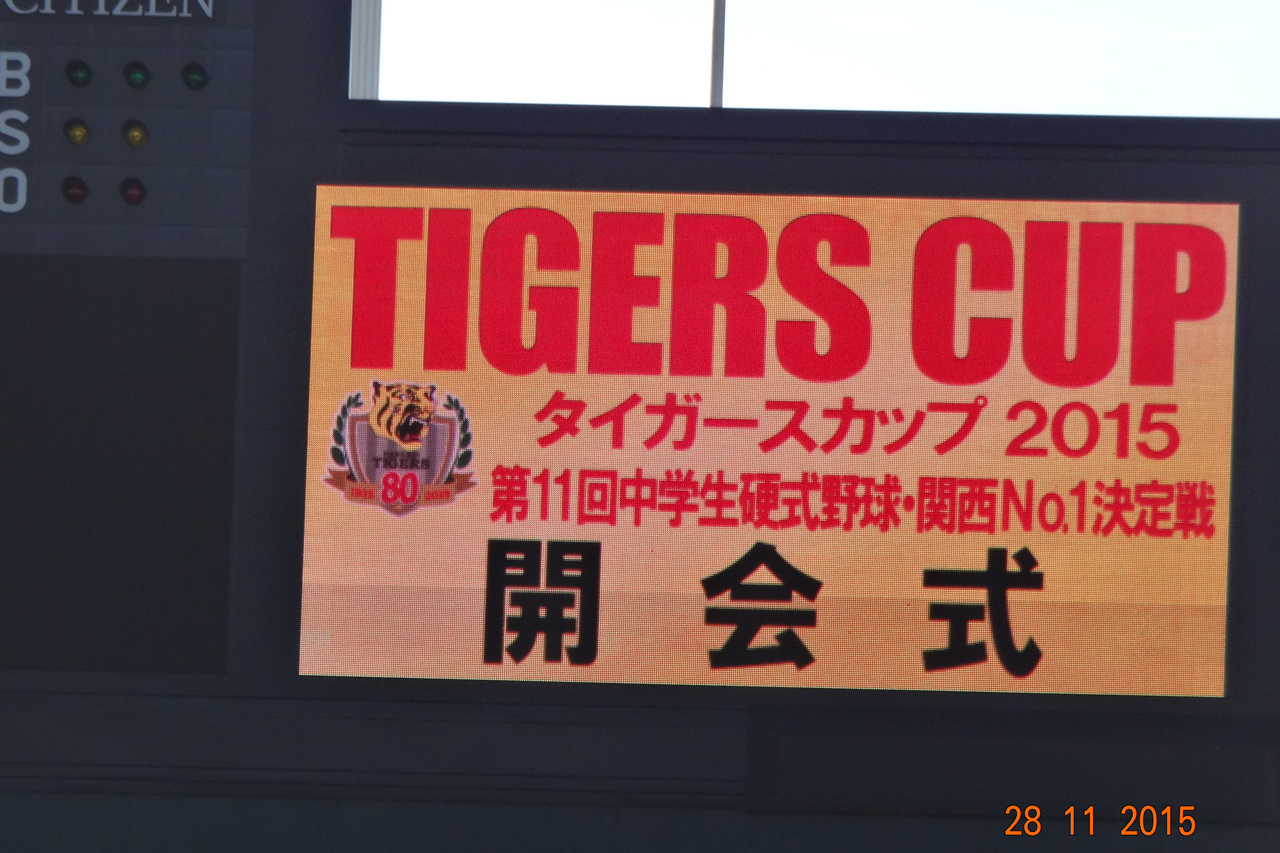2026年最新：阪神タイガース掲示板が過熱する理由――熱狂的ファンが紡ぐ「ネット裏」のリアルと変貌