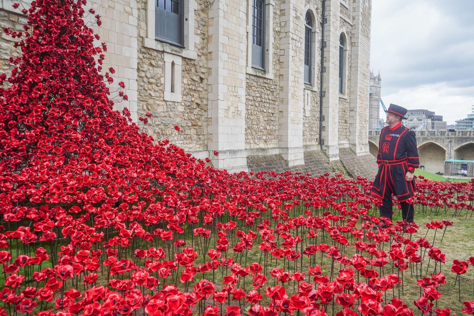 Are Poppies Still at Tower of London