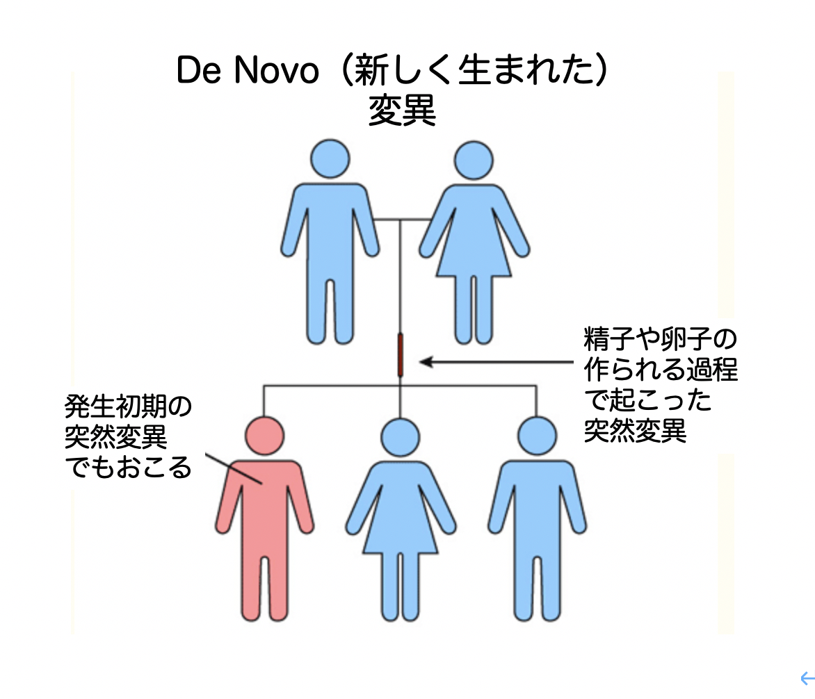 自閉症は遺伝する？2026年最新研究が明かす確率と親子の真相