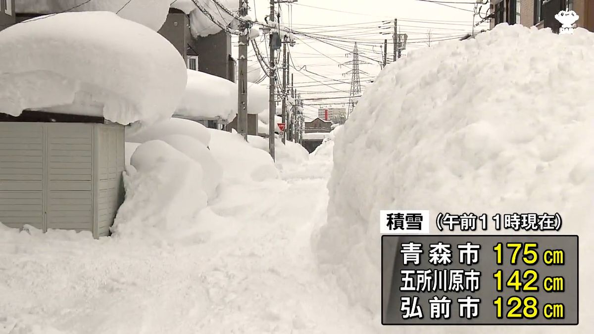 青森市の積雪深と道路交通の現在地｜豪雪の理由と除雪のリアルを徹底検証