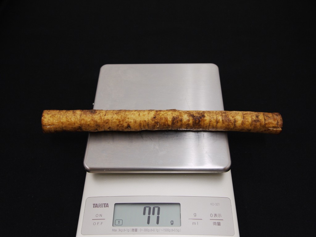 ごぼう1本は何グラム？重さの目安と可食部・カロリーを徹底検証