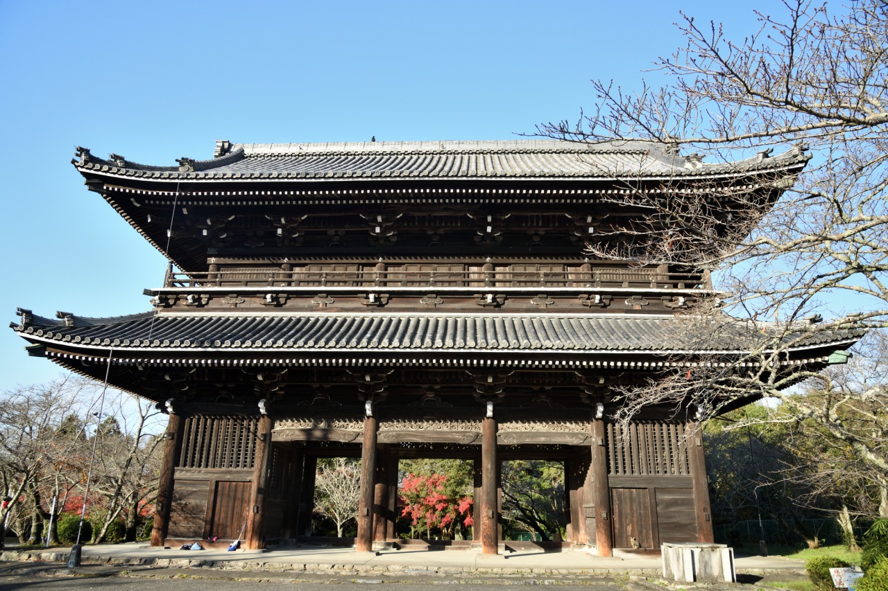 国宝大塔になぜ銃弾の跡が？根来寺に眠る戦国最強の謎と2026最新見どころ