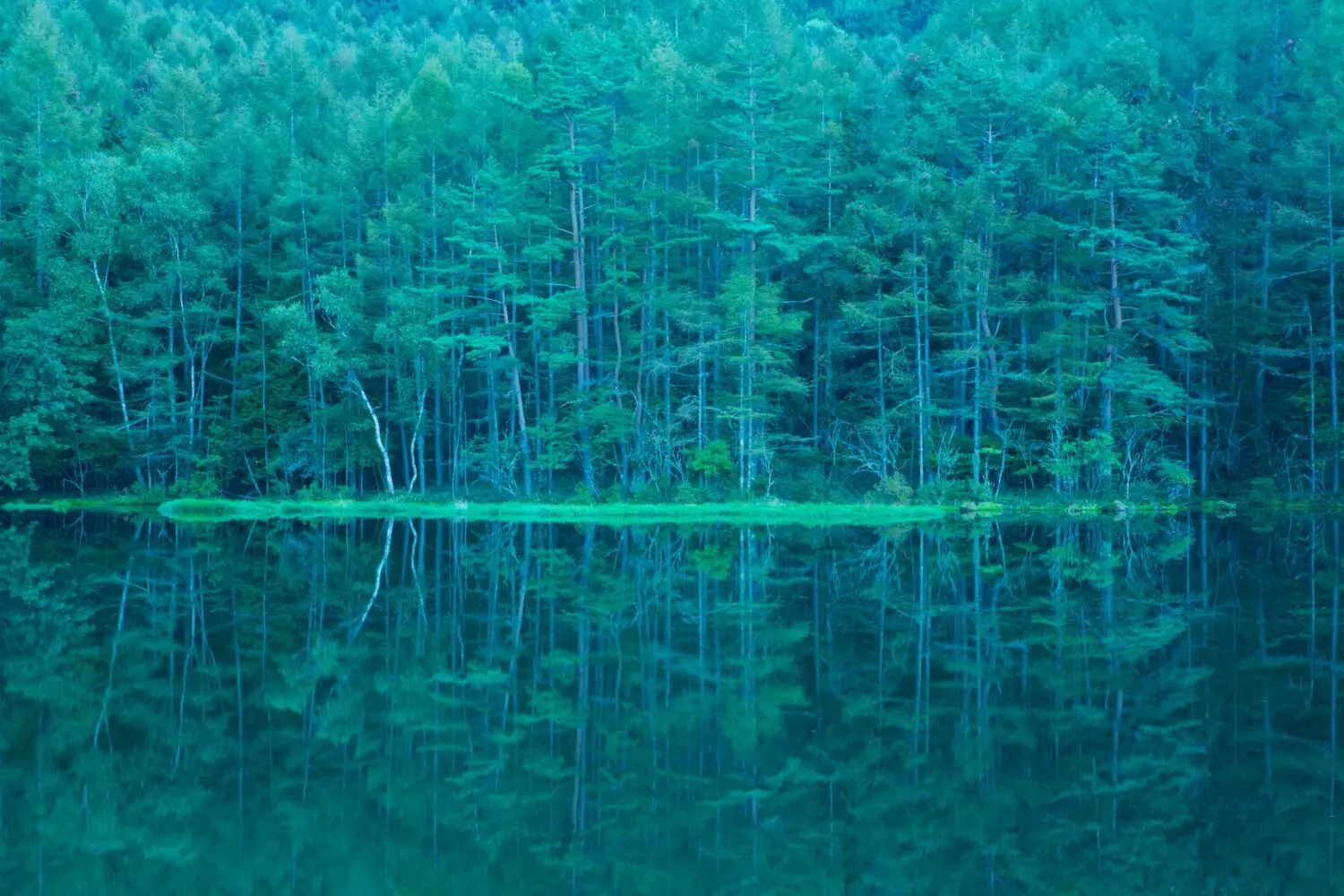 東山魁夷の絵画が心を打つ理由とは？名作の秘密と美術館最新情報