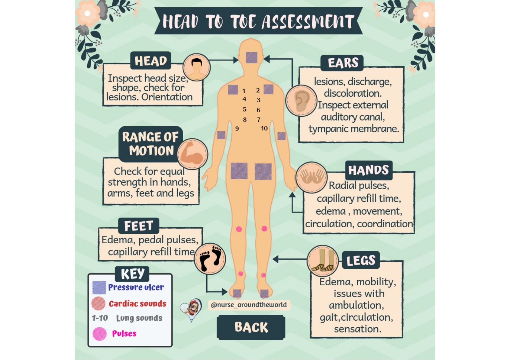 The Systematic Head to Toe Assessment Should Be Performed On