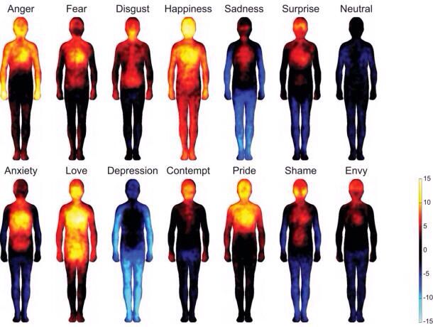Heat Signature of Human Body