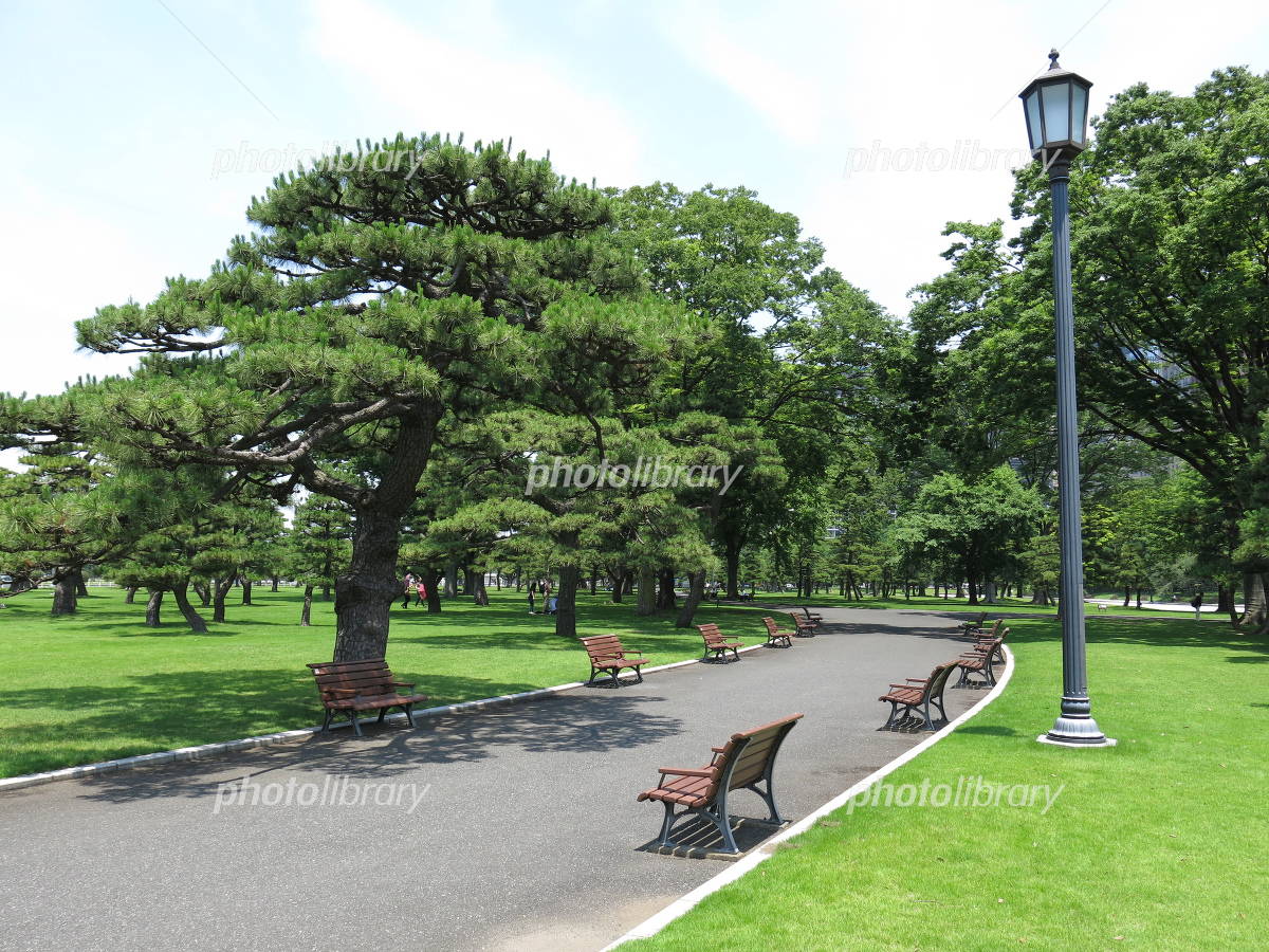 皇居の芝生は入れる？ピクニックと寝転がりOkエリア＆禁止の真相【2026】