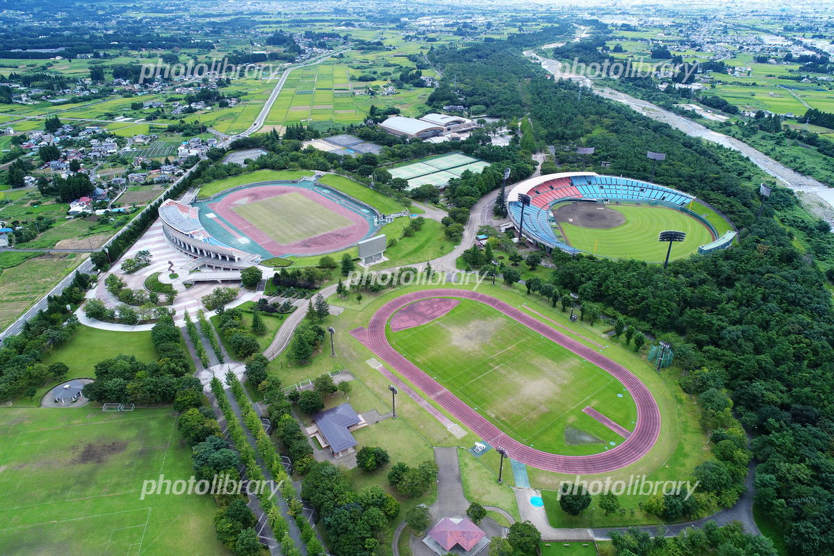 あづま総合運動公園の歩き方！黄金イチョウと予約裏技を徹底解説