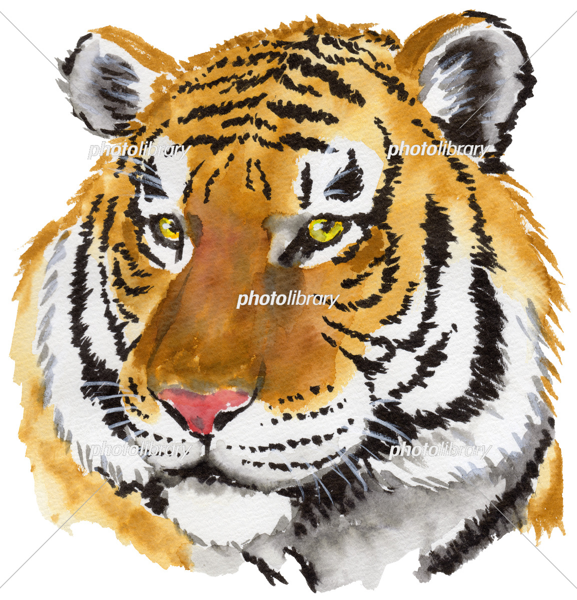 リアルな虎イラストの描き方を徹底解剖！プロ級の質感表現と最新素材
