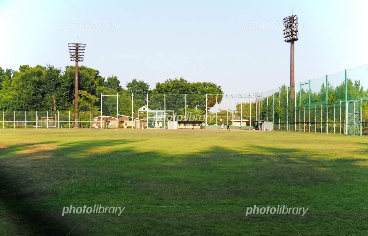 陵南公園野球場の予約と料金の真相！駐車場混雑と最新ルール徹底検証