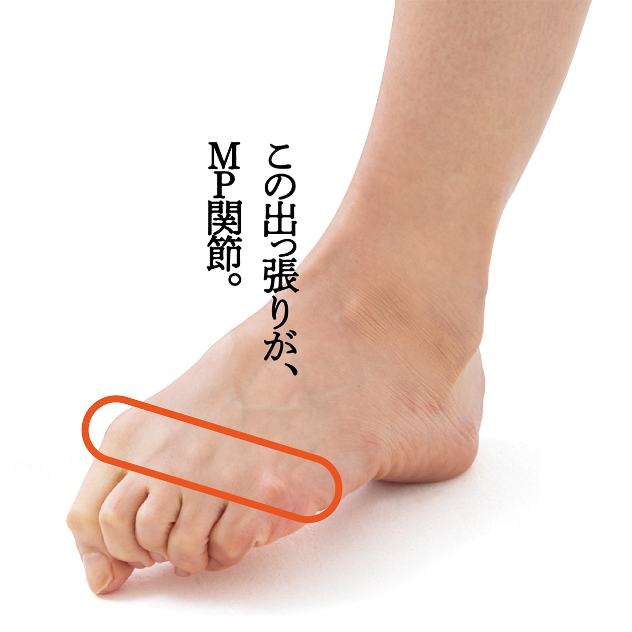足裏の激痛を消す！足の横アーチ復活メソッドと開張足対策の全貌