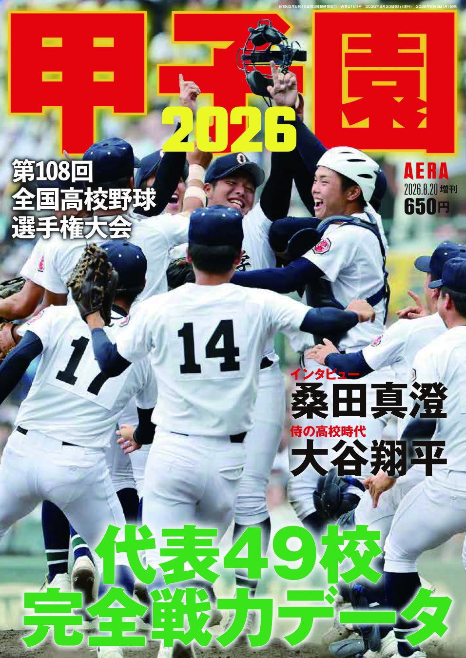 高校野球雑誌おすすめ比較2026｜休刊の真相と名鑑発売日の決定版