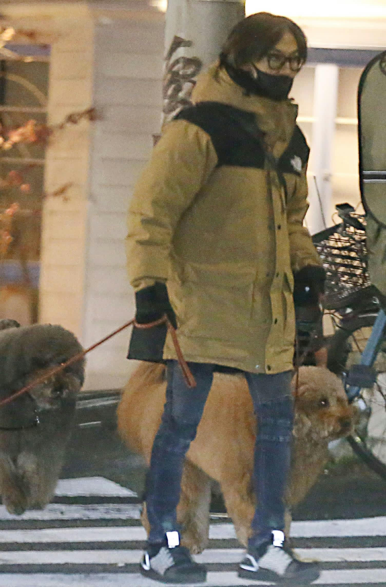 B'z稲葉浩志の歴代愛犬と散歩目撃談！犬種やバブの真相【2026最新】