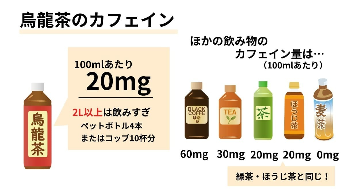 烏龍茶の常飲はヤバイ？毎日飲むデメリットと胃腸・貧血リスクの真相