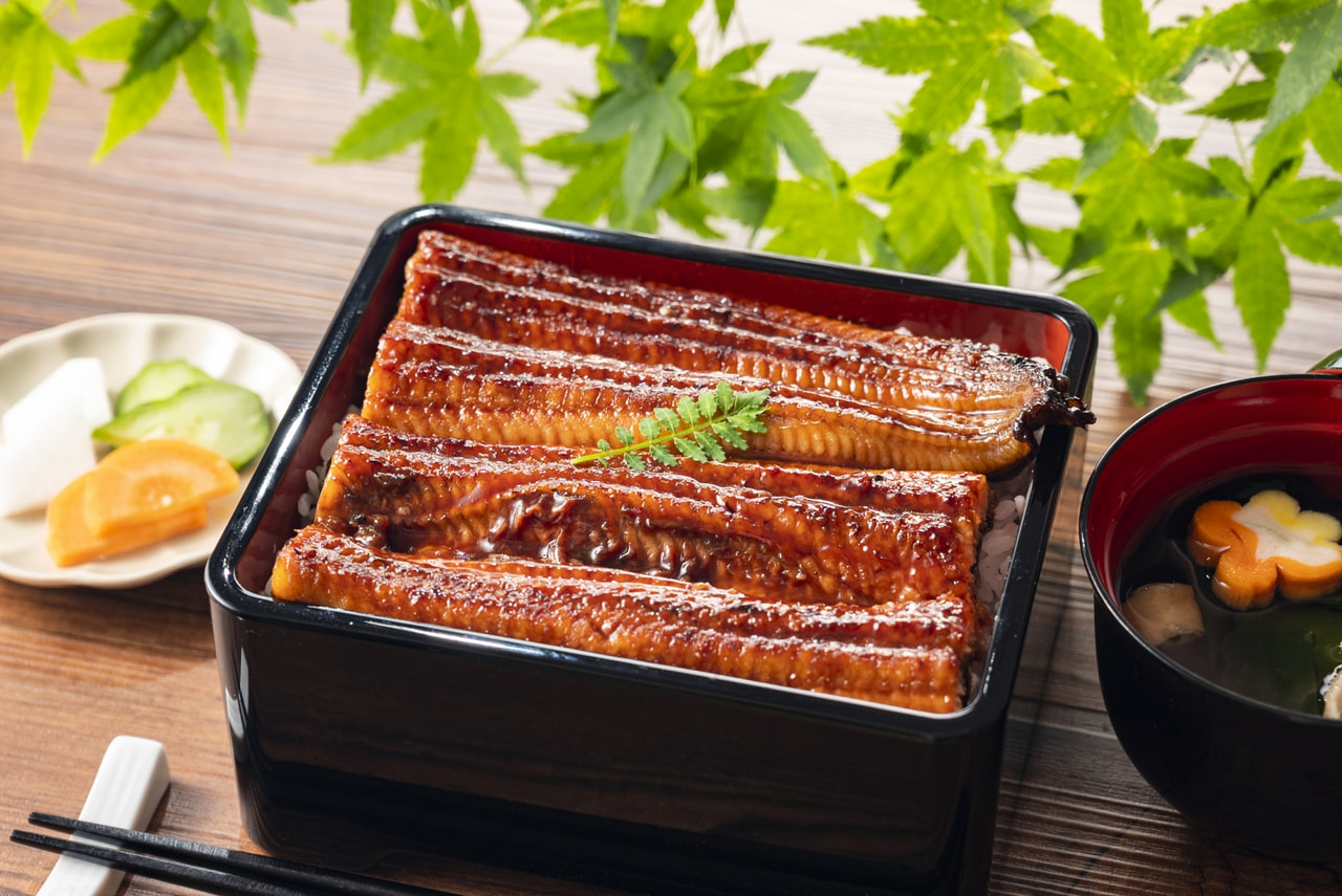 土用の丑の日にうなぎを食べる理由とは？平賀源内の真相と2026年最新相場