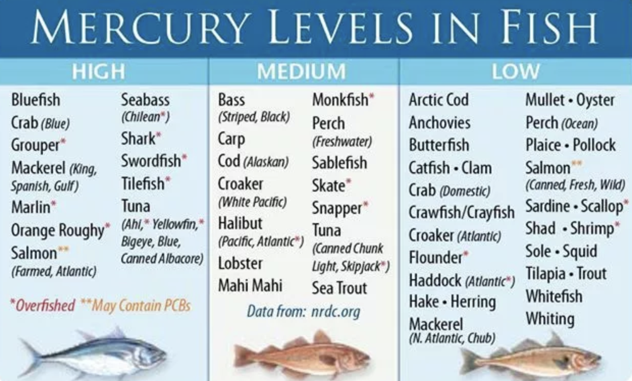 Is Wahoo Fish High in Mercury