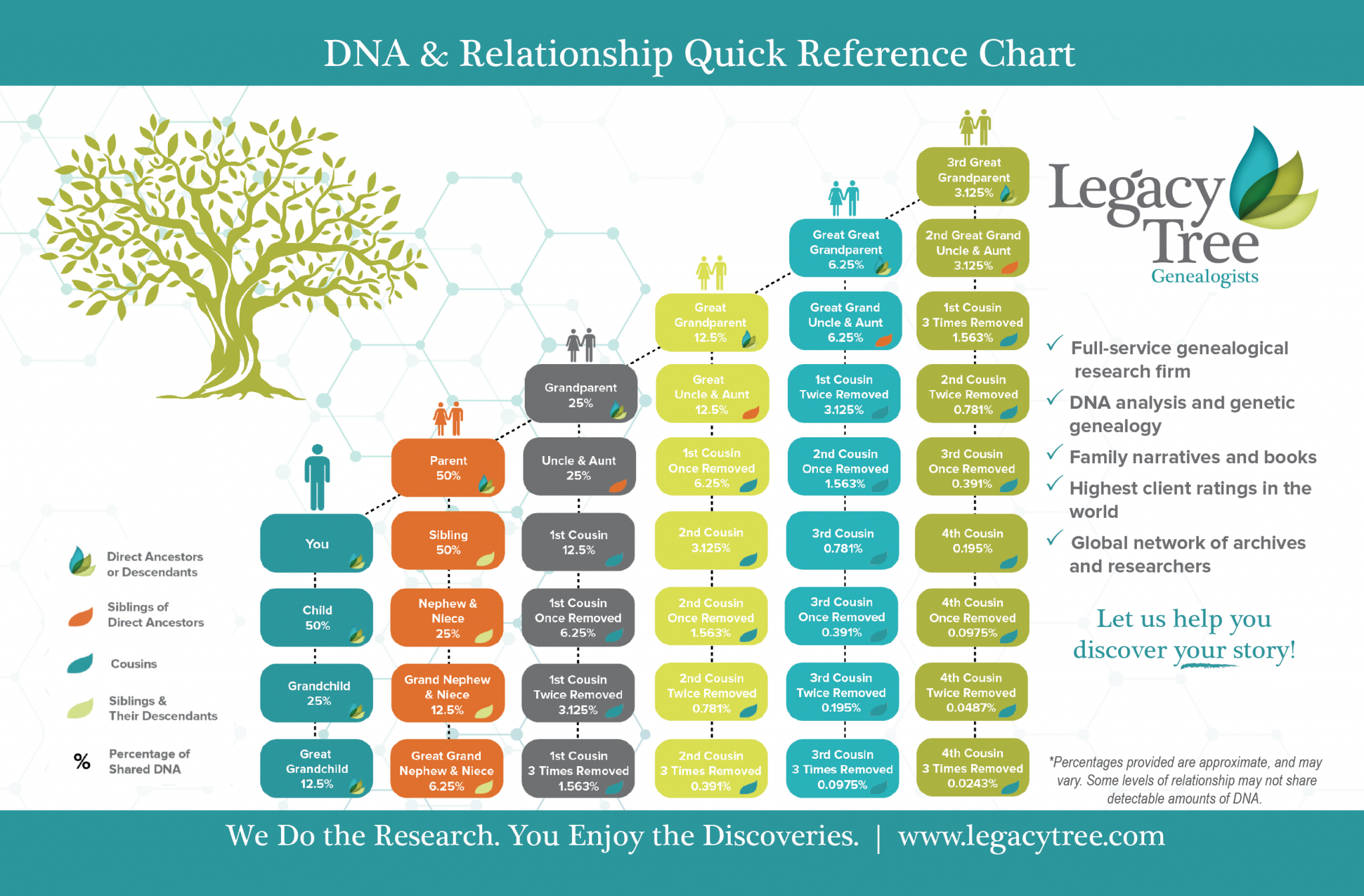 Compare Ancestrydna Features and Traditional Genealogy Records for Tracing Family Trees