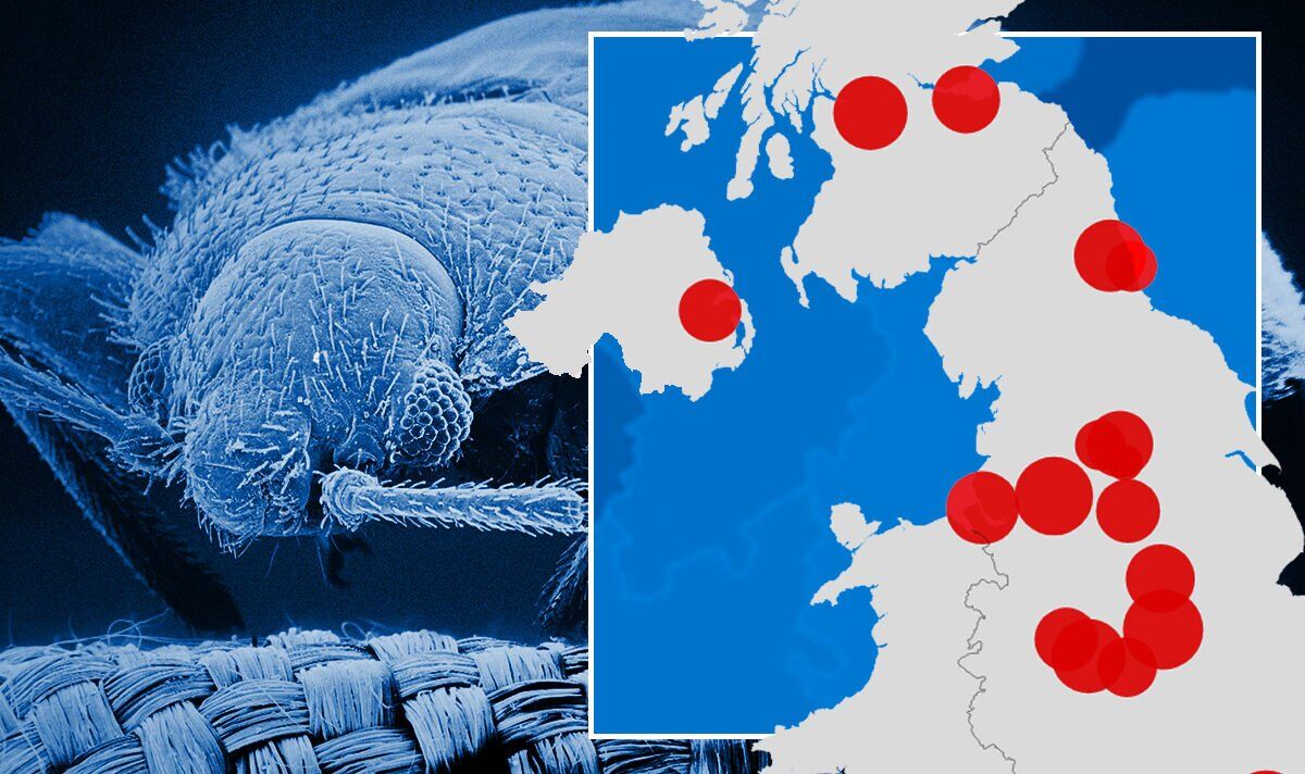 Is There a Sickness Bug Going Around Uk