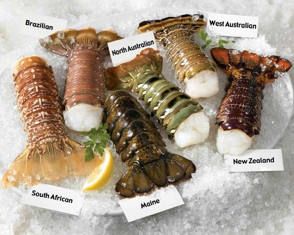 Different Types of Lobster Tails