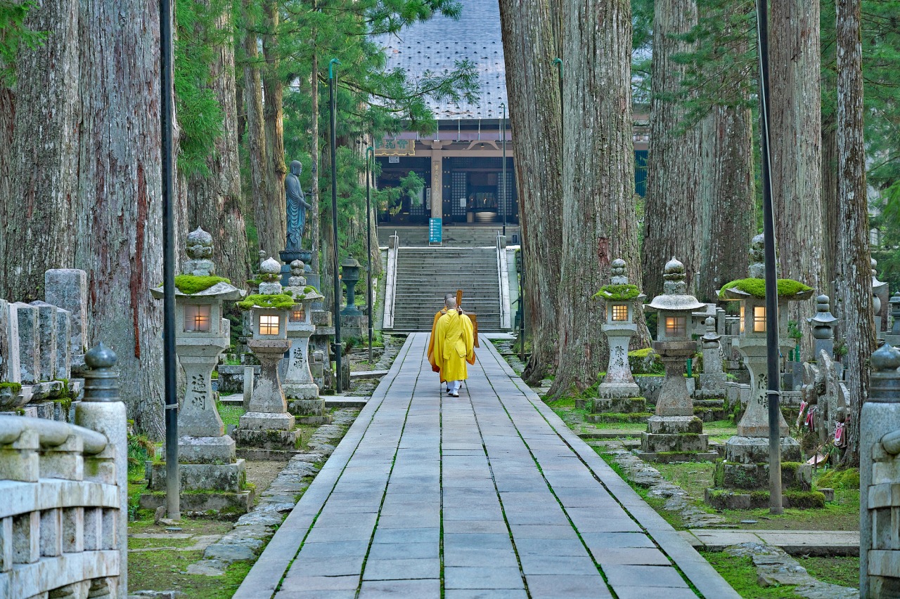 弘法大師は今も生きている？高野山奥の院の深奥と参拝の鉄則2026