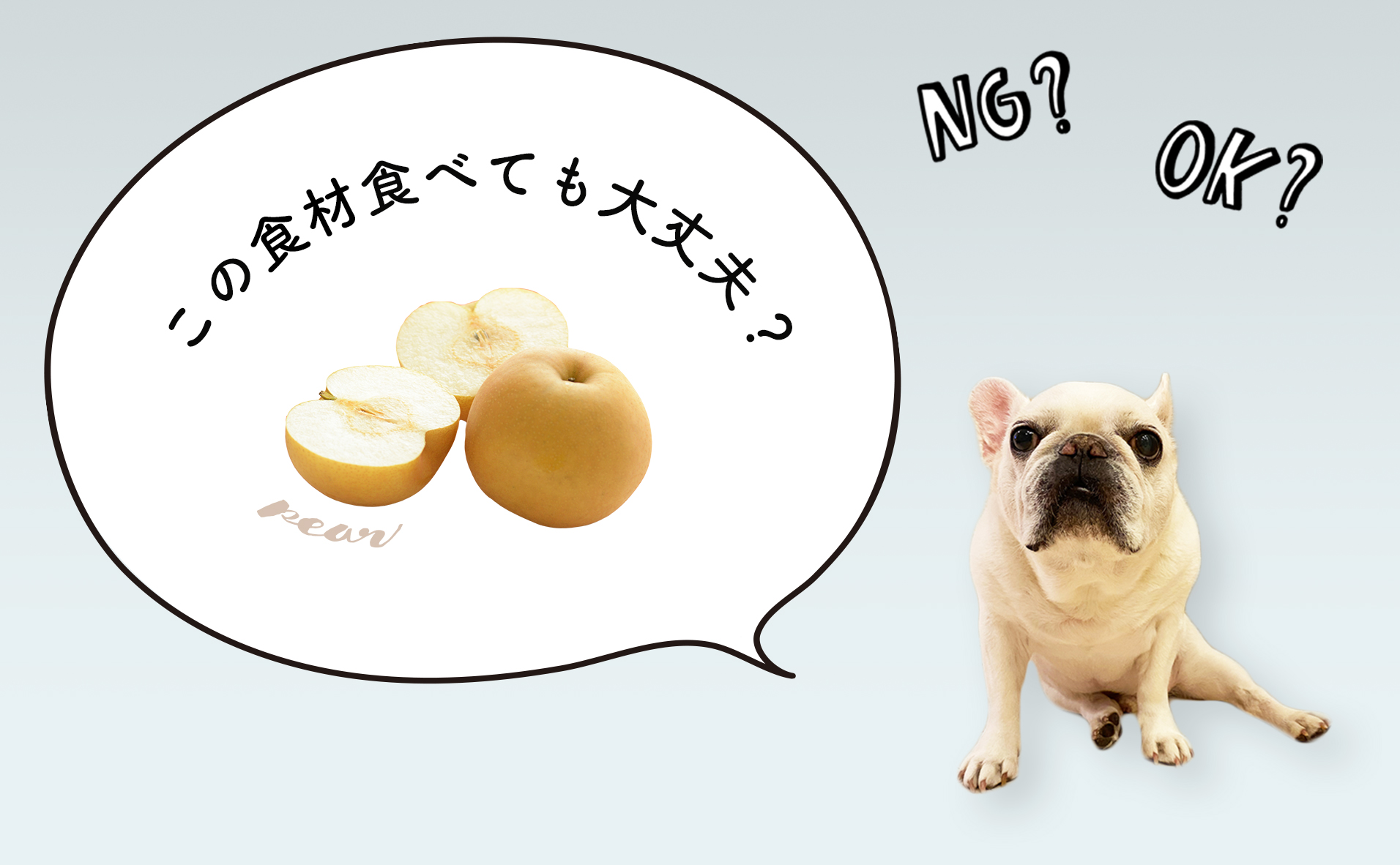 犬は梨を食べていい？果肉の適量と種や芯に潜む中毒リスクの真相