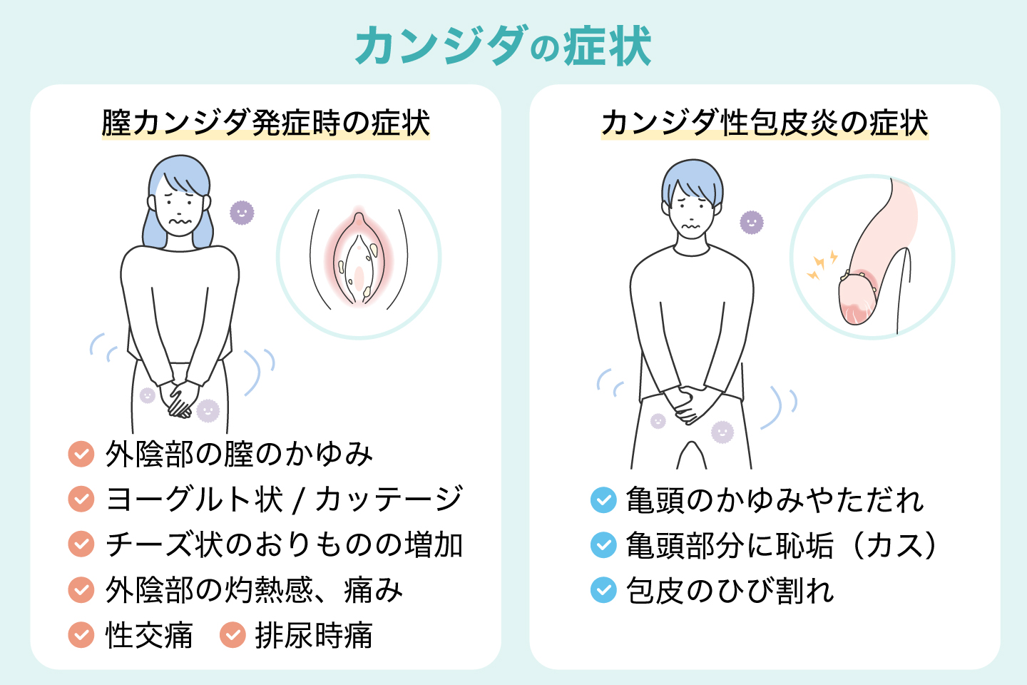男性のカンジダは自然治癒するのか？放置リスクと2026年の新常識