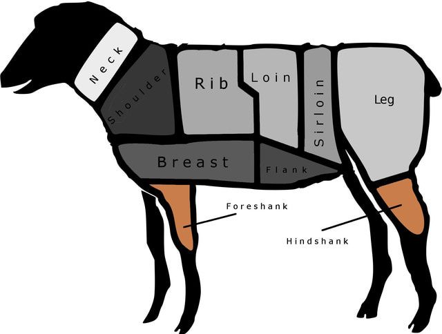Lamb Shank Which Part of Animal