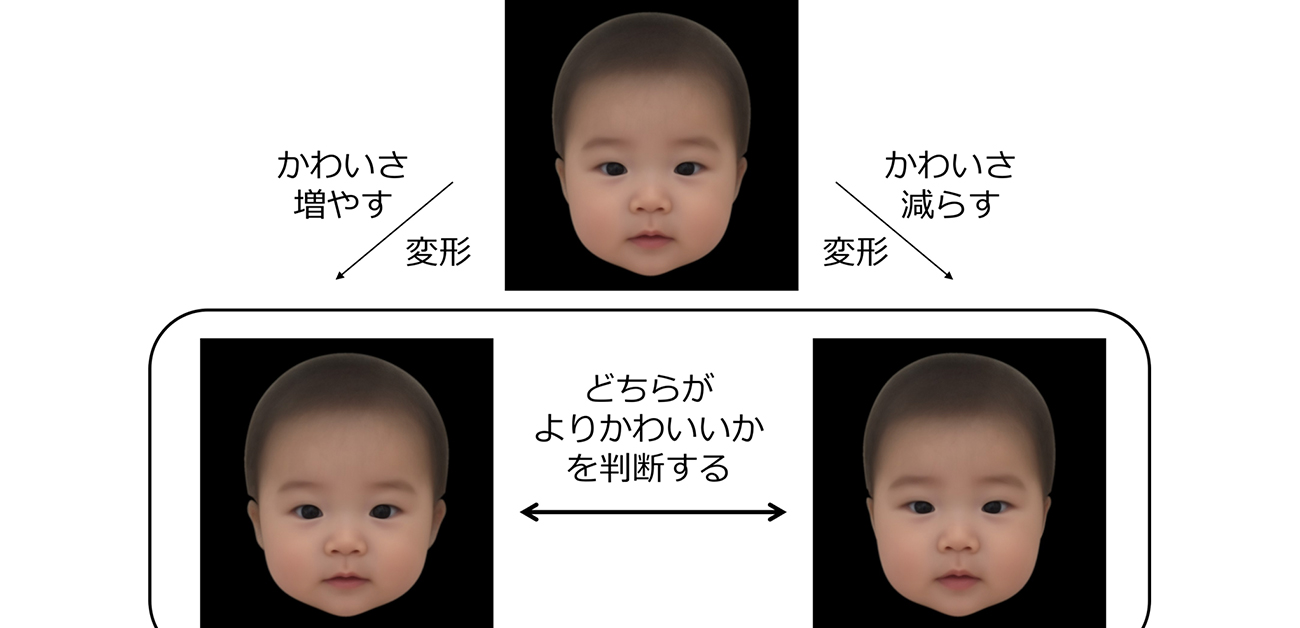 「うちの子ブサイク？」親の不安を覆す顔立ち激変の科学と美形サイン