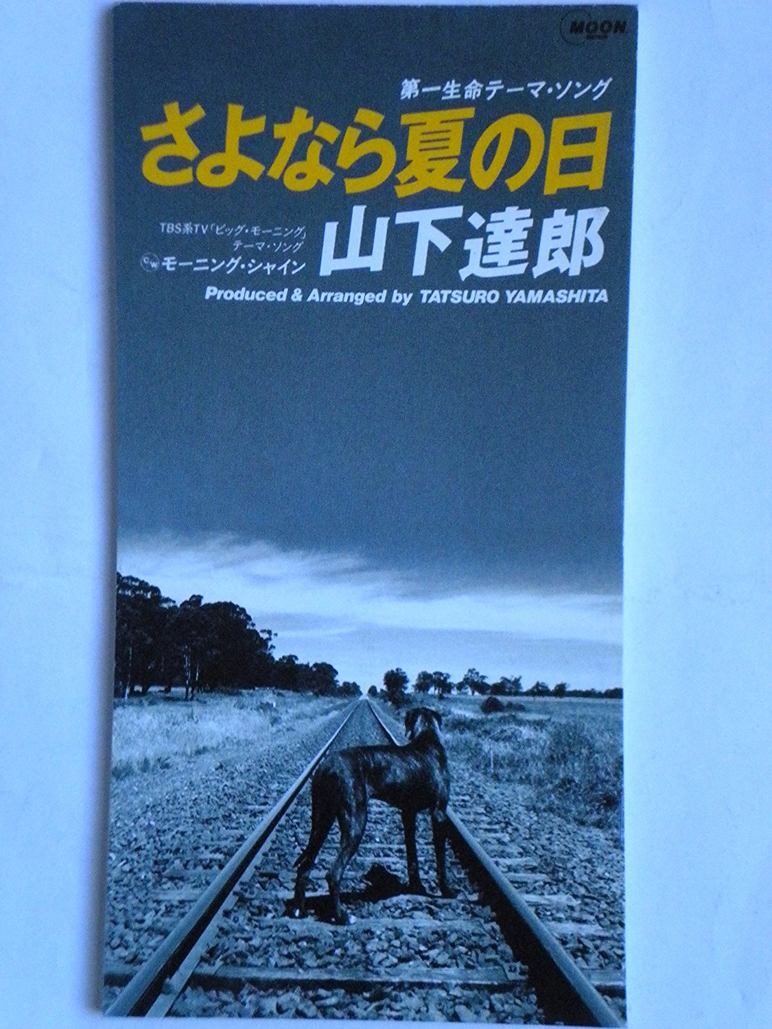 山下達郎「さよなら夏の日」歌詞に隠された実話の真相を徹底解説