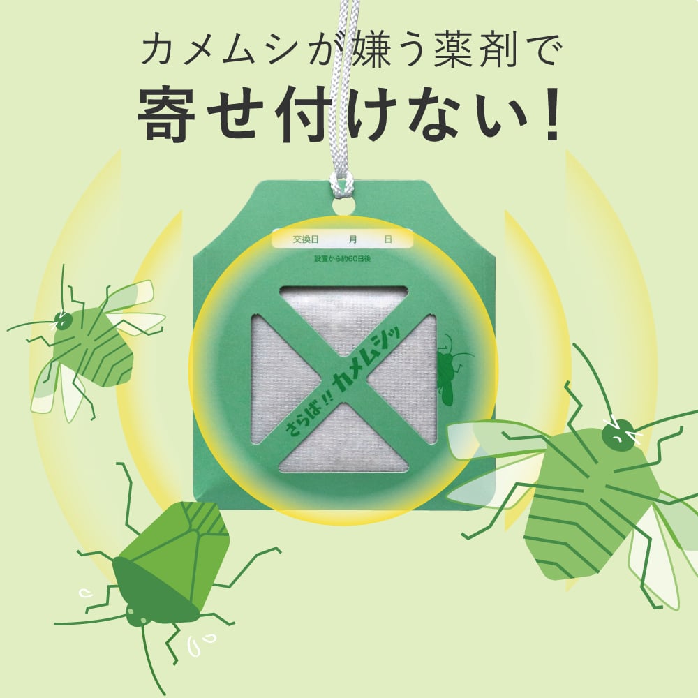もうベランダに来ない！2026年カメムシを寄せ付けない完全対策