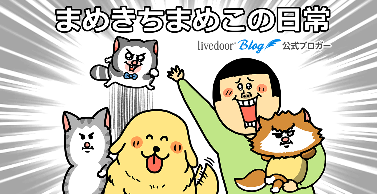 まめきちまめこブログが人気の理由｜ペット達の今と裏側を徹底解剖