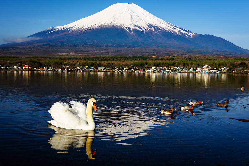 富士山と湖の今を映す「絶景くん」山中湖ライブカメラ徹底解剖