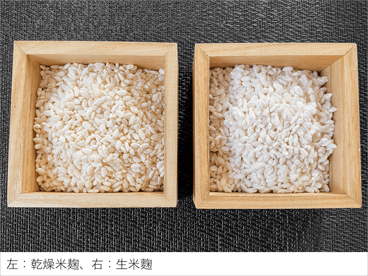 乾燥麹と生麹の違いは？保存性や換算・使い分けの決定打を徹底解説